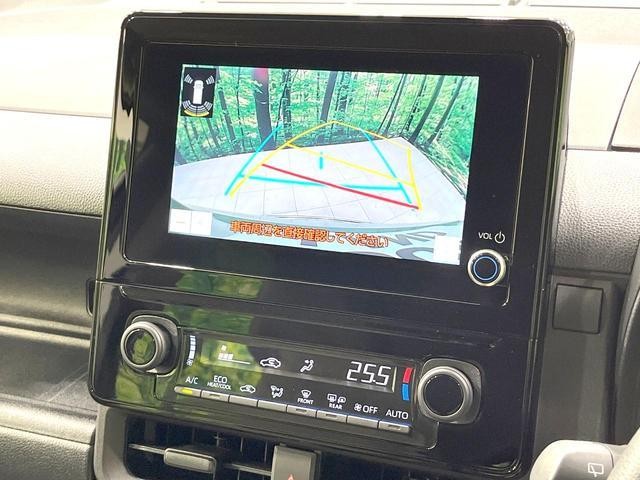 25241949_carP_l_4.jpg