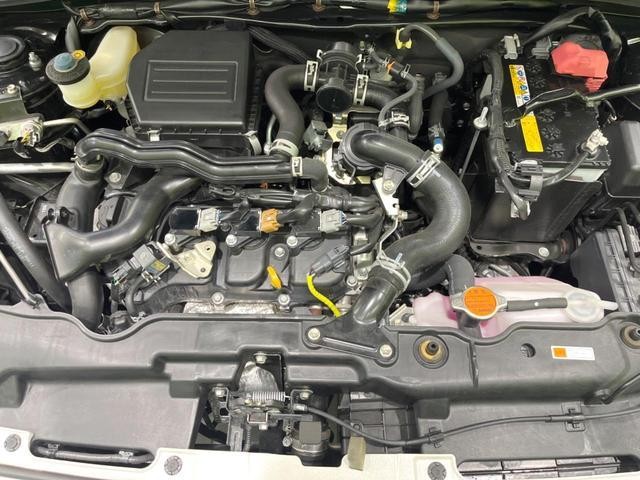 25303302_carP_l_12.jpg