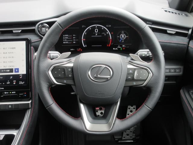 25572462_carP_l_9.jpg
