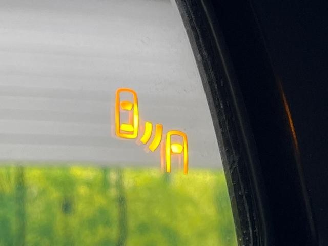 26533807_carP_l_17.jpg
