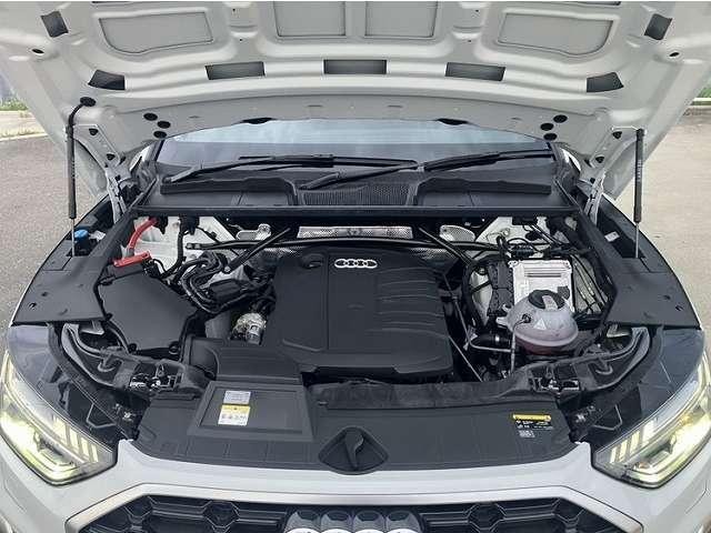26899831_carP_l_8.jpg