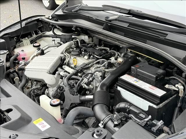 26905503_carP_l_20.jpg
