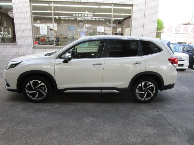 26539864_carP_l_15.jpg