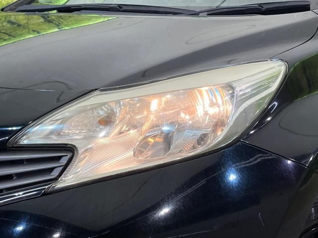 26445904_carP_l_6.jpg