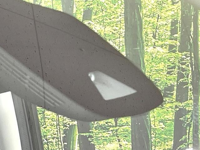 26774253_carP_l_4.jpg