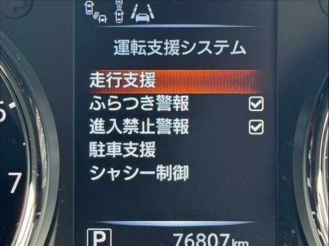 25647367_carP_l_8.jpg