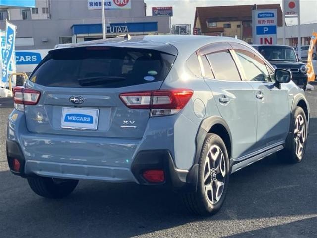25309154_carP_l_15.jpg