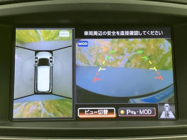 25309194_carP_l_8.jpg