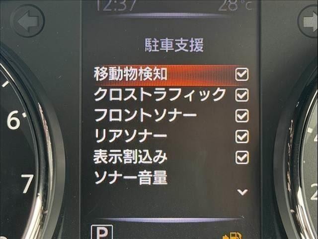 25647369_carP_l_8.jpg