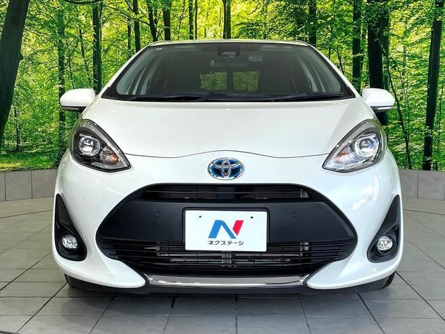 25829678_carP_l_8.jpg