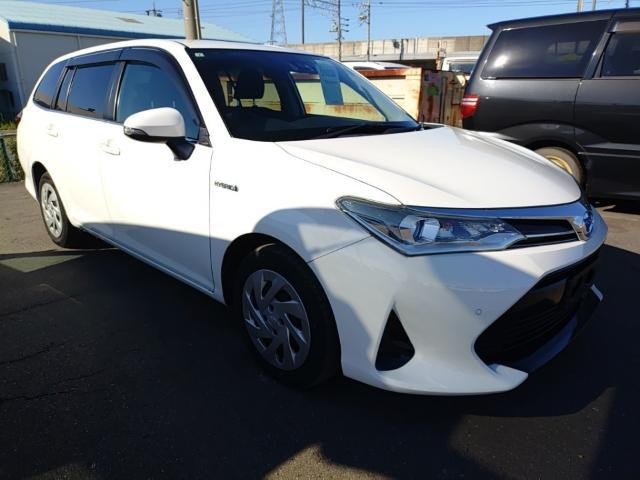 25235040_carP_l_4.jpg