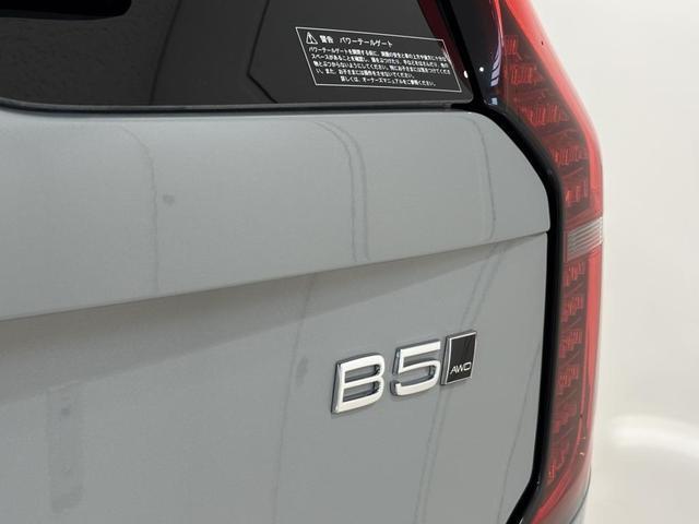 23390821_carP_l_5.jpg