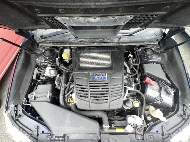 25572120_carP_l_18.jpg