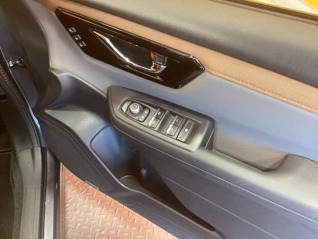 24620454_carP_l_7.jpg