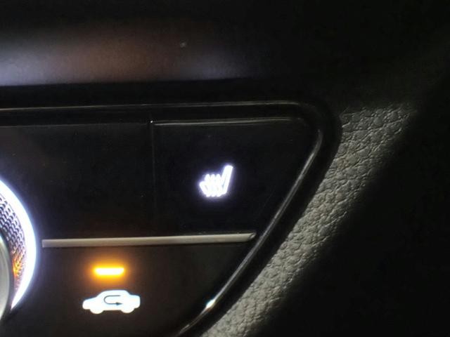 0201190A30260829W00506.jpg