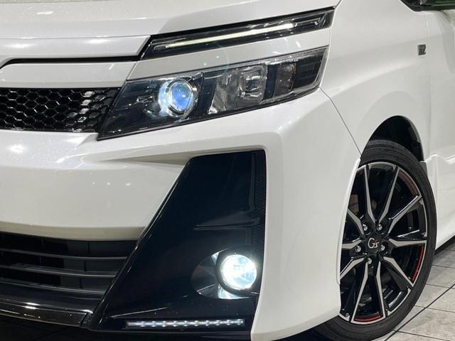 25793190_carP_l_7.jpg