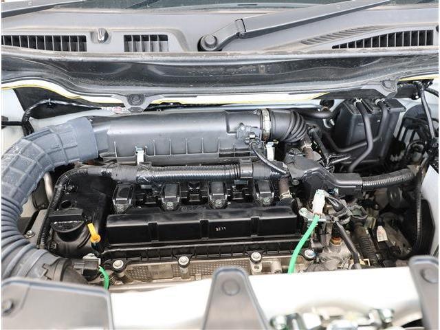 24386113_carP_l_18.jpg