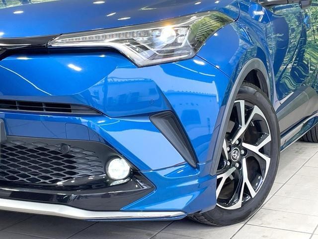 25793363_carP_l_6.jpg