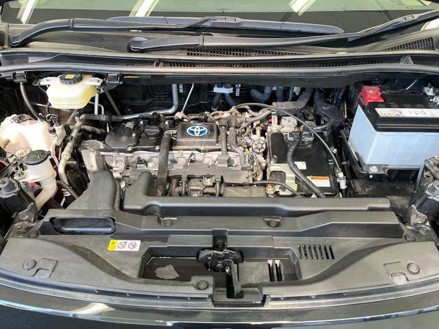 24500810_carP_l_16.jpg