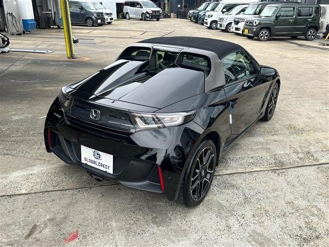 26245671_carP_l_7.jpg