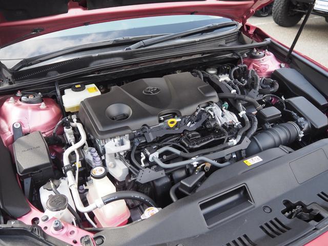 22255947_carP_l_20.jpg