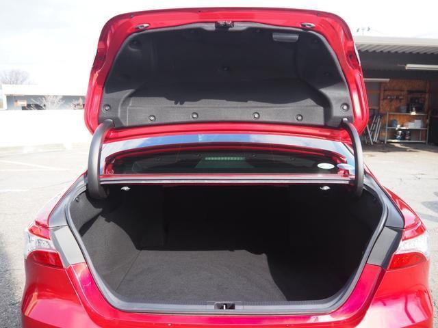 22255947_carP_l_8.jpg