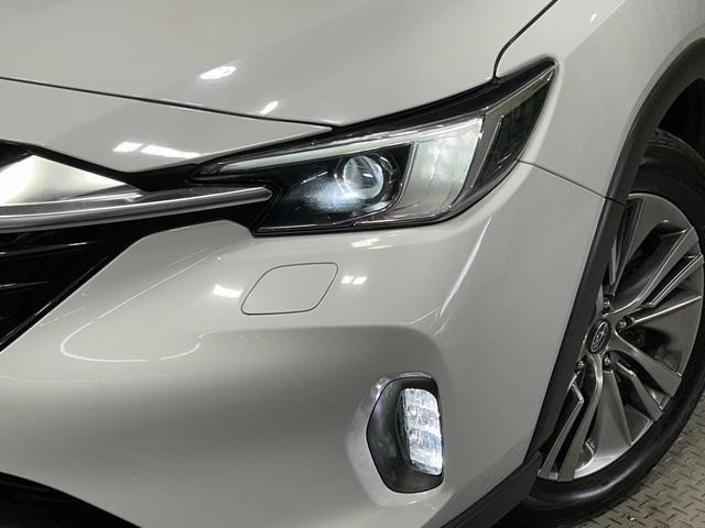 25527777_carP_l_9.jpg