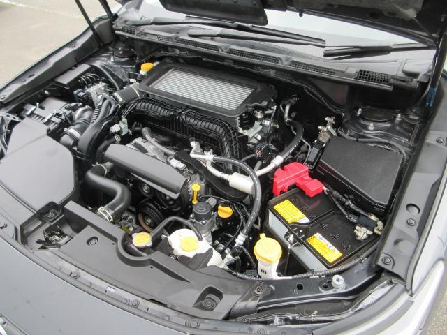 24446809_carP_l_20.jpg