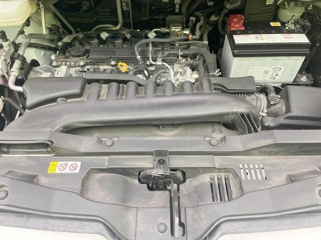 25982973_carP_l_18.jpg