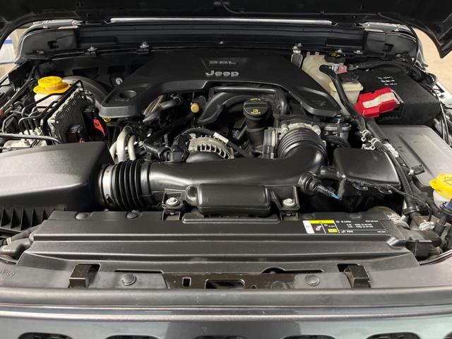 24624957_carP_l_18.jpg