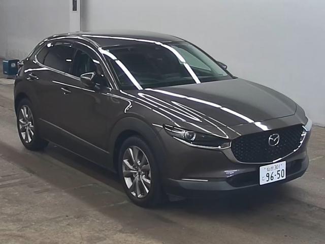 25968497_carP_l_1.jpg