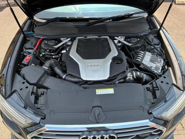 25384991_carP_l_17.jpg