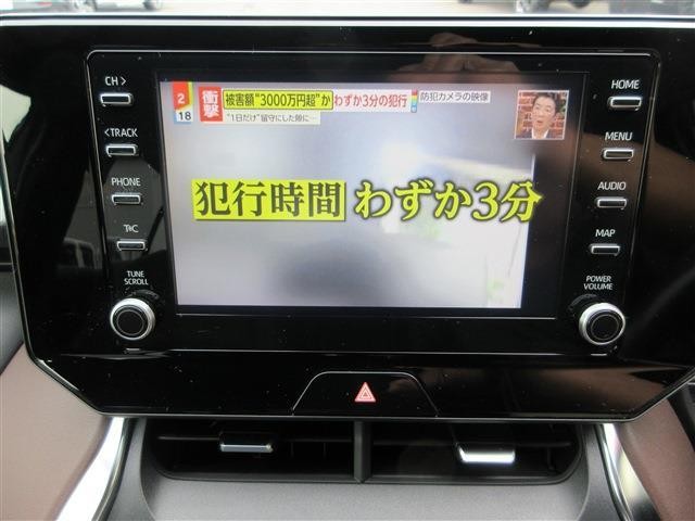 26057892_carP_l_6.jpg