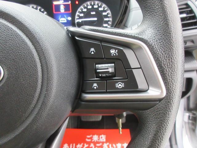 24421431_carP_l_7.jpg