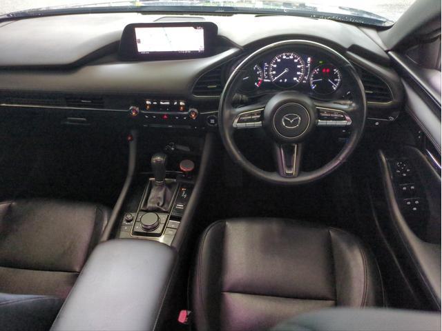 24845009_carP_l_15.jpg