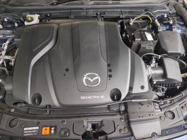 24845009_carP_l_17.jpg