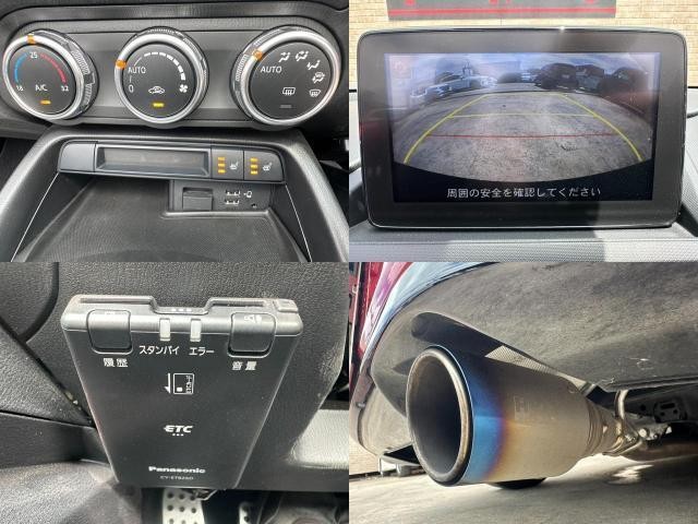 25673032_carP_l_10.jpg