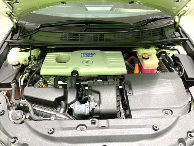 26924456_carP_l_18.jpg