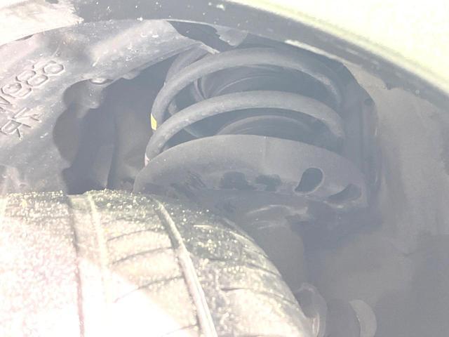 23695360_carP_l_20.jpg