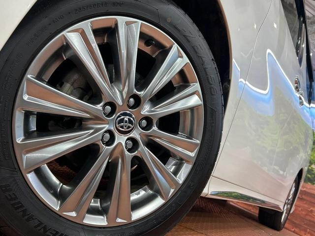 25487312_carP_l_8.jpg