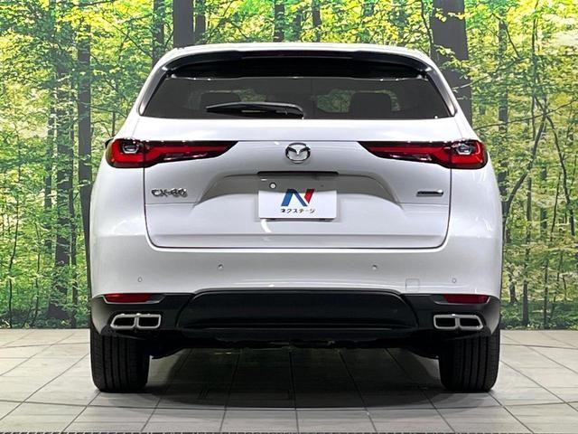 27011792_carP_l_9.jpg