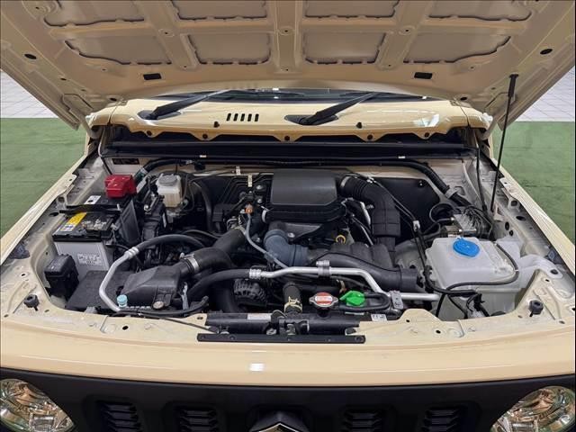 26876640_carP_l_8.jpg