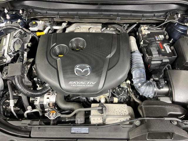 27094594_carP_l_16.jpg