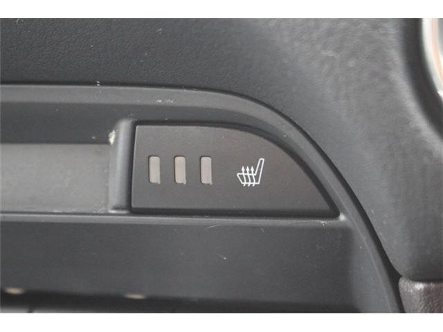 26245681_carP_l_13.jpg