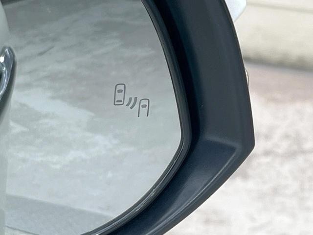 26209777_carP_l_10.jpg