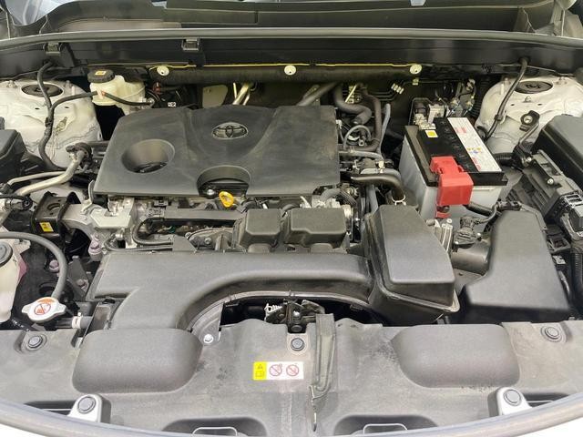 26209777_carP_l_16.jpg