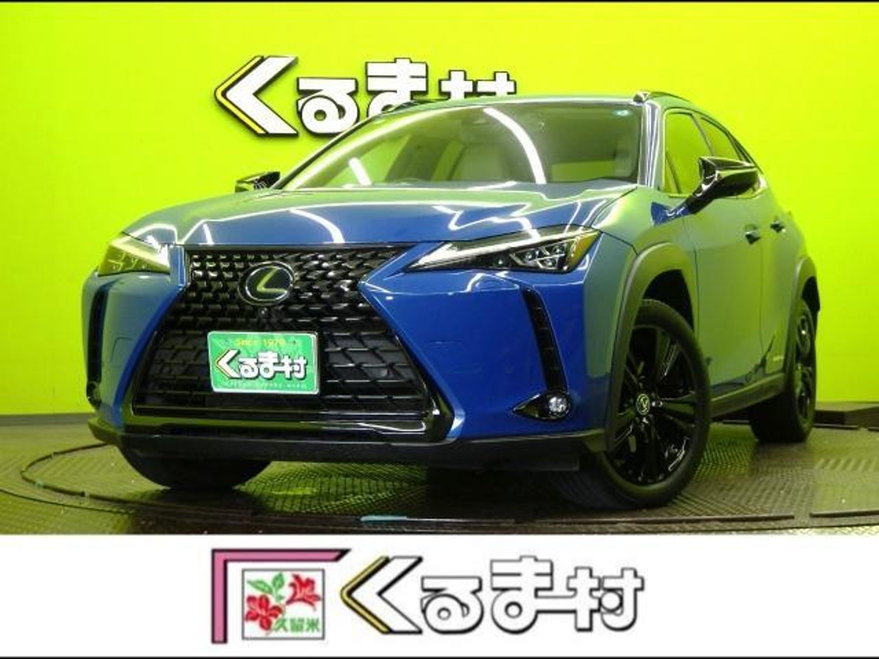 2021 Lexus Ux, photo 1 of 1