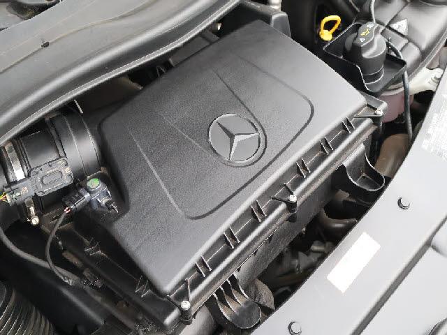 23954789_carP_l_13.jpg