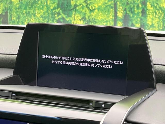 26357173_carP_l_10.jpg