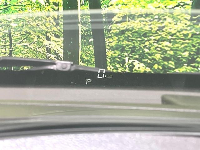 25734745_carP_l_4.jpg